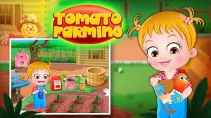 Little Gardener Tomato Patch