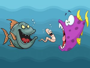 Aquatic Fish Coloring Puzzle