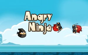 Angry Ninja: Pirate Showdown Online Game - Ludoryx free online game