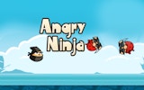 Angry Ninja: Pirate Showdown Online Game