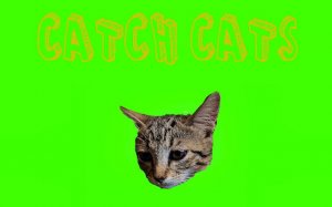 Catch Cats Online Game - Ludoryx free online game