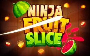 Ninja Fruit Slice - Endless Arcade Game Online - Ludoryx free online game