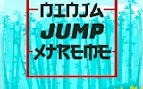 Ninja Jump Xtreme Online Platformer Game