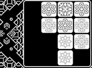 Black to White Puzzle Game - Ludoryx free online game